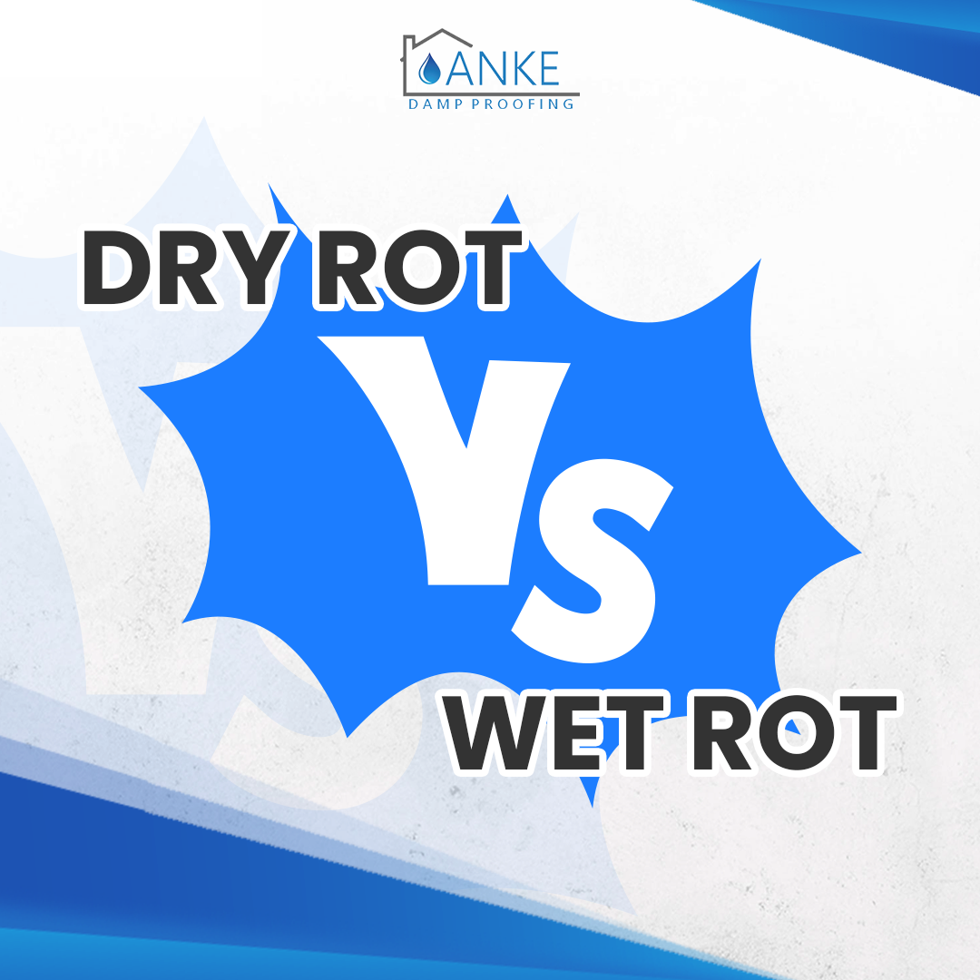 Dry Rot Vs Wet Rot: What's the Difference and How to Spot Them