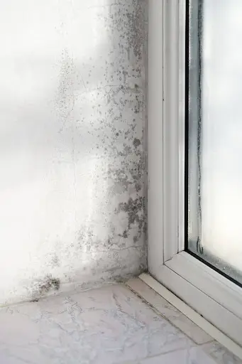 damp proofing services kent