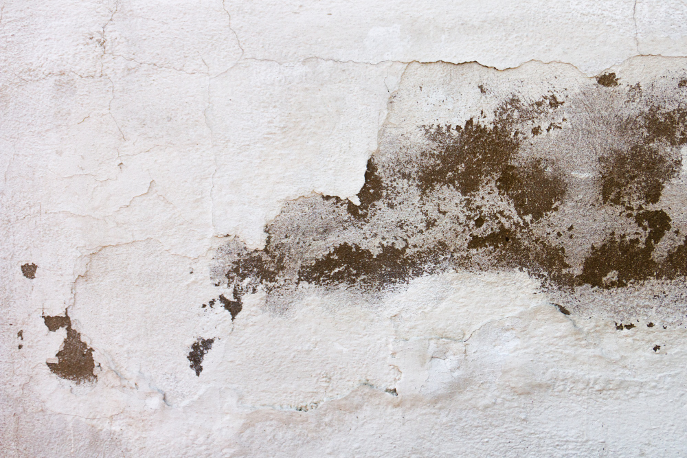 Damp Proofing East London: Early Warning Signs Property Owners Shouldn&rsquo;t Ignore