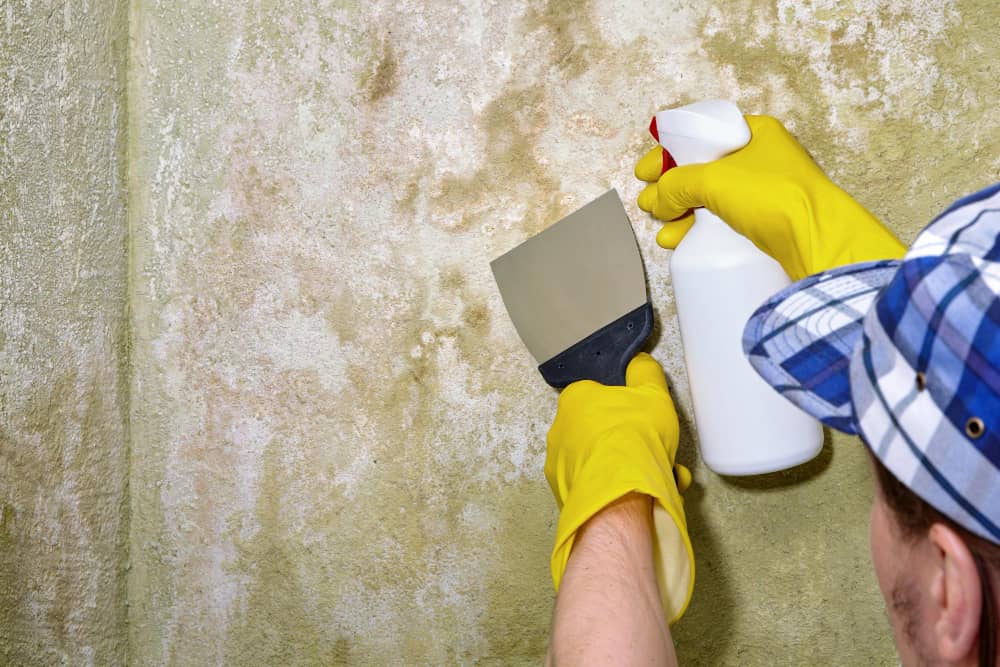Why Choose Local Damp Proofing Experts in Watford for Property Protection