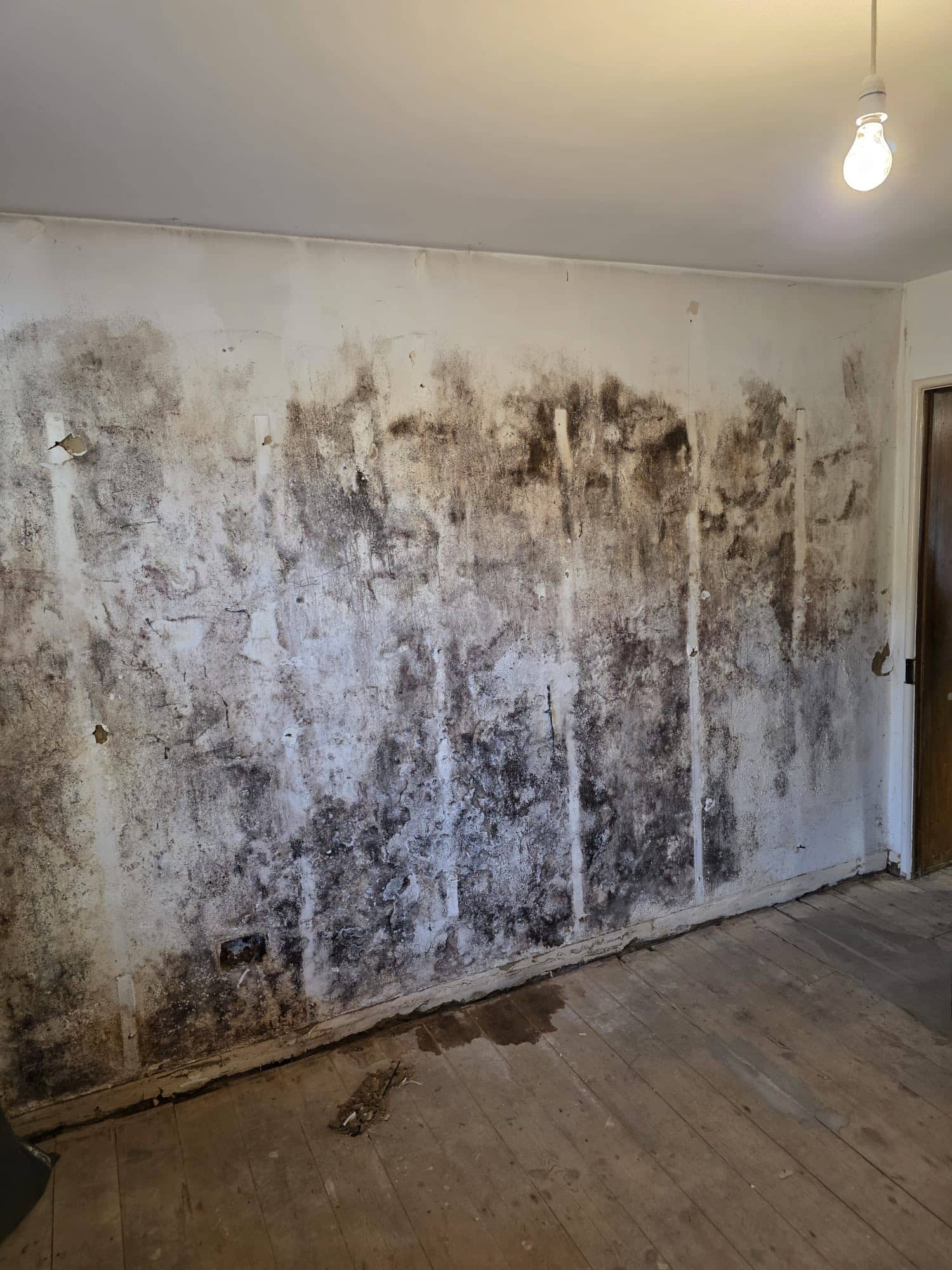 Damp Proofing North London: Common Causes & Professional Treatment Options